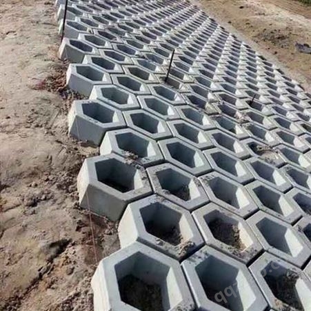 高铁护坡砖模具发展运行-长期供应水泥护坡砖模具-供应六角护坡模具