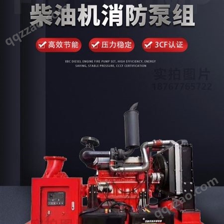 武汉市 上海海茨 XBC50/50G-QEW 柴油机驱动