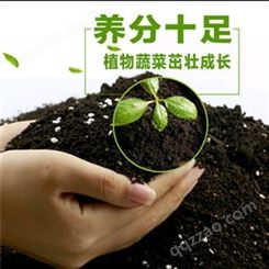 腐殖土 园林绿化用腐殖土 瓜果蔬菜营养土