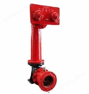 水泵结合器_永信安_地上式水泵结合器_出售生产