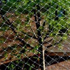 温室大棚尼龙网 植物果园防护网 绿色防鸟网 航瑞加工生产