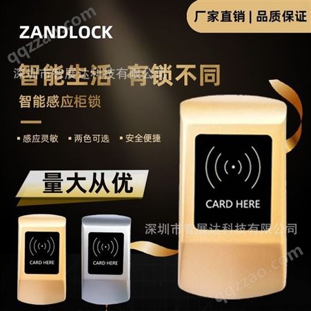 ZD205工厂手机柜感应锁 学生书包柜电子感应锁 磁卡感应锁 ZANDLOCK