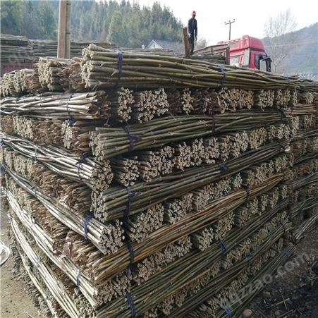 2米-3米豆瓜扦批发 2.5米竹扦 竹菜架 江西竹竿厂家自产自销
