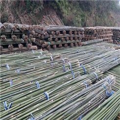 豆瓜扦批发 2米5竹扦 竹架材厂家供应