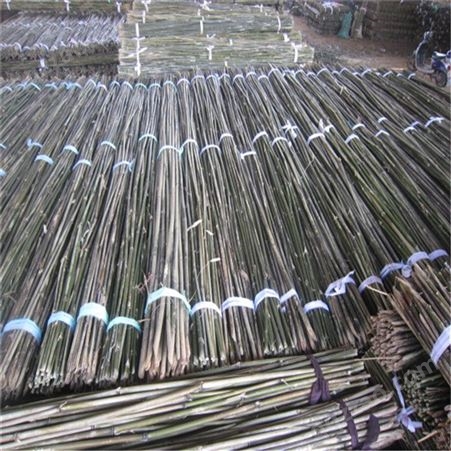 小竹竿批发 大量批发江西3米农用小竹竿