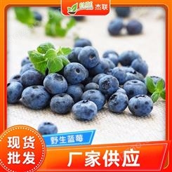 冷冻水果 冷冻蓝莓 速冻蓝莓果蔬冷冻蓝莓 烘焙装饰冷冻水果蓝莓