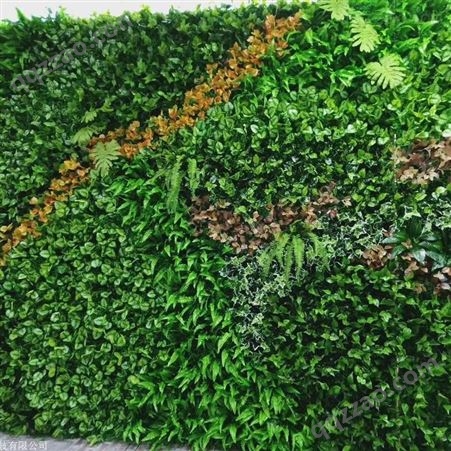 杨浦区办公室植物墙多少钱  绿墙制造