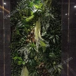 江苏办公室植物墙多少钱  绿墙供应
